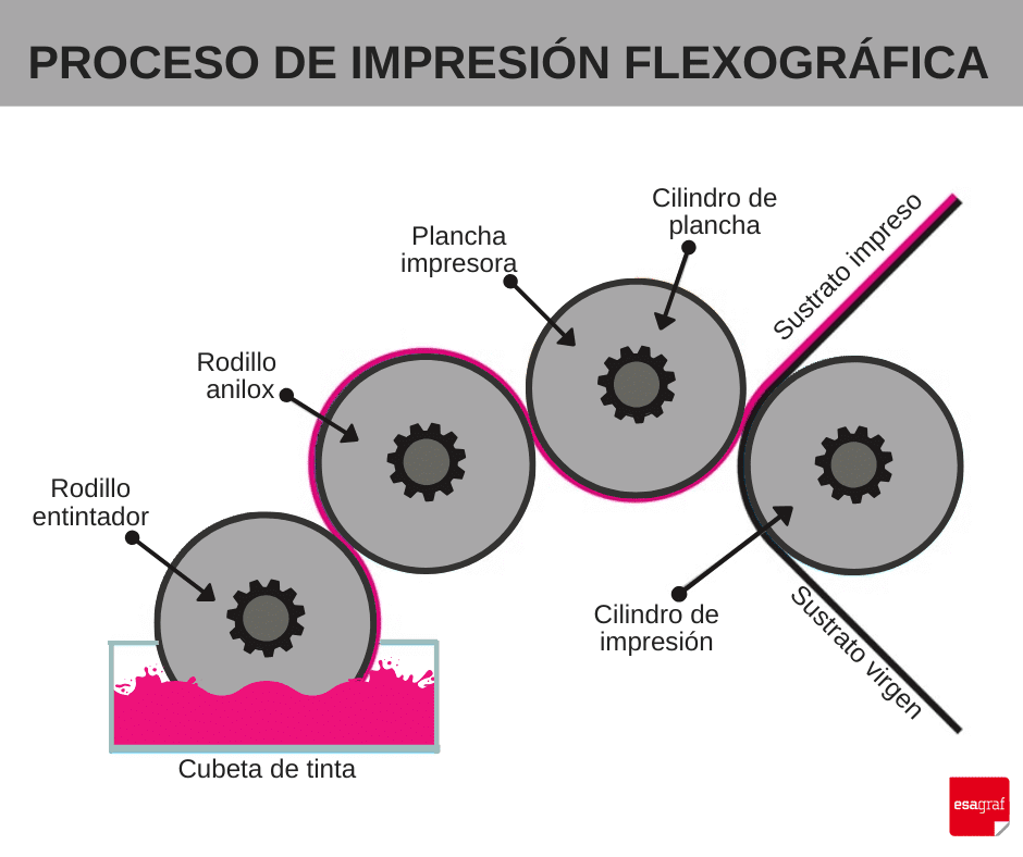 proceso de impresión flexográfica